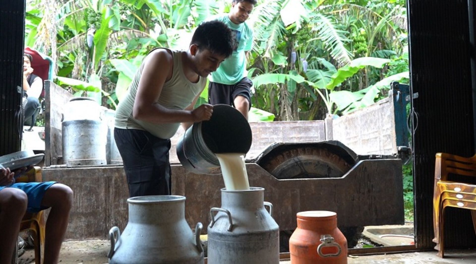 प्रविधि र जैविक खेतीको फ्युजनः अभिषेक अधिकारीको सफलता, ७% फ्याटसहित ४०० लिटर दूध उत्पादन 